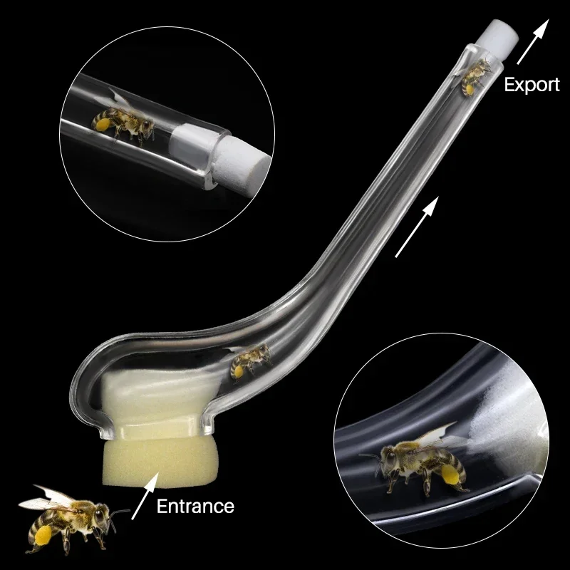 2X Beekeeping King Bee Catcher Catching Queen Cage Device Catch King Apicultura Rearing System Bee Supplies