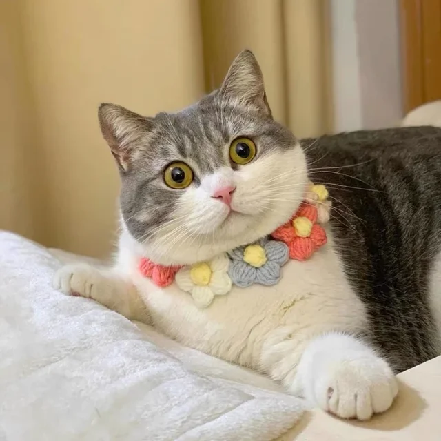 Cute Ins Style Cat Dog Knitted Collar Crochet Flowers Collar Pet Drool Scarf Bib Pet Necklace Accessories Pure Hand Knitting 2