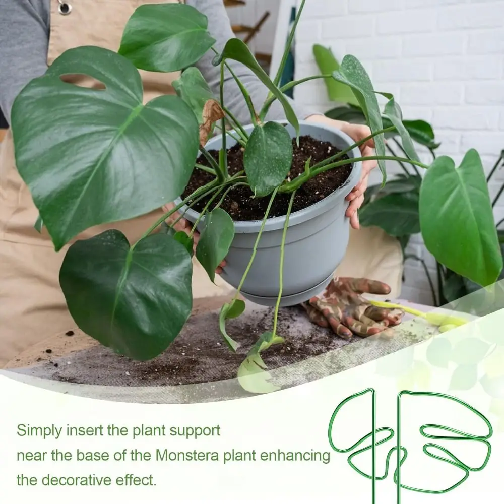 Plant Stand Leaf Shaped Plant Support Ring for Outdoor Plants and Indoor Plants Support Branches Stem Organizer Garden Tools