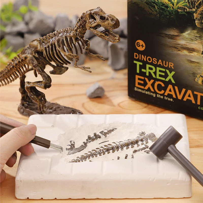 Fossils with Dinosaur Archaeology   Kits Kids Educational Toys 
