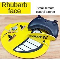 RC Aircraft su27 play outdoors with fun Rhubarb face of children's RC aircraft Magic board fixed wing electric toys 1