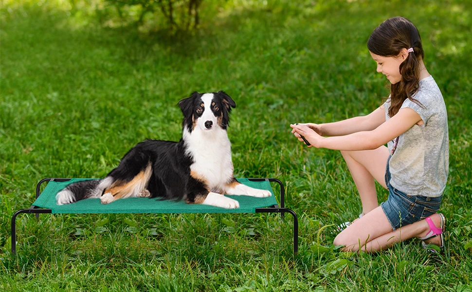 Dog Bed Elevated Dog Bed Cooling Raised Dog Cot Indoor & Outdoor Waterproof Dog Cat Bed