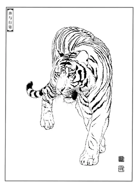 Tiger Line Drawing Manuscript Traditional Chinese Painting Animal Line  Draft Meticulous Painting Beginner Copying Practice Paper - AliExpress