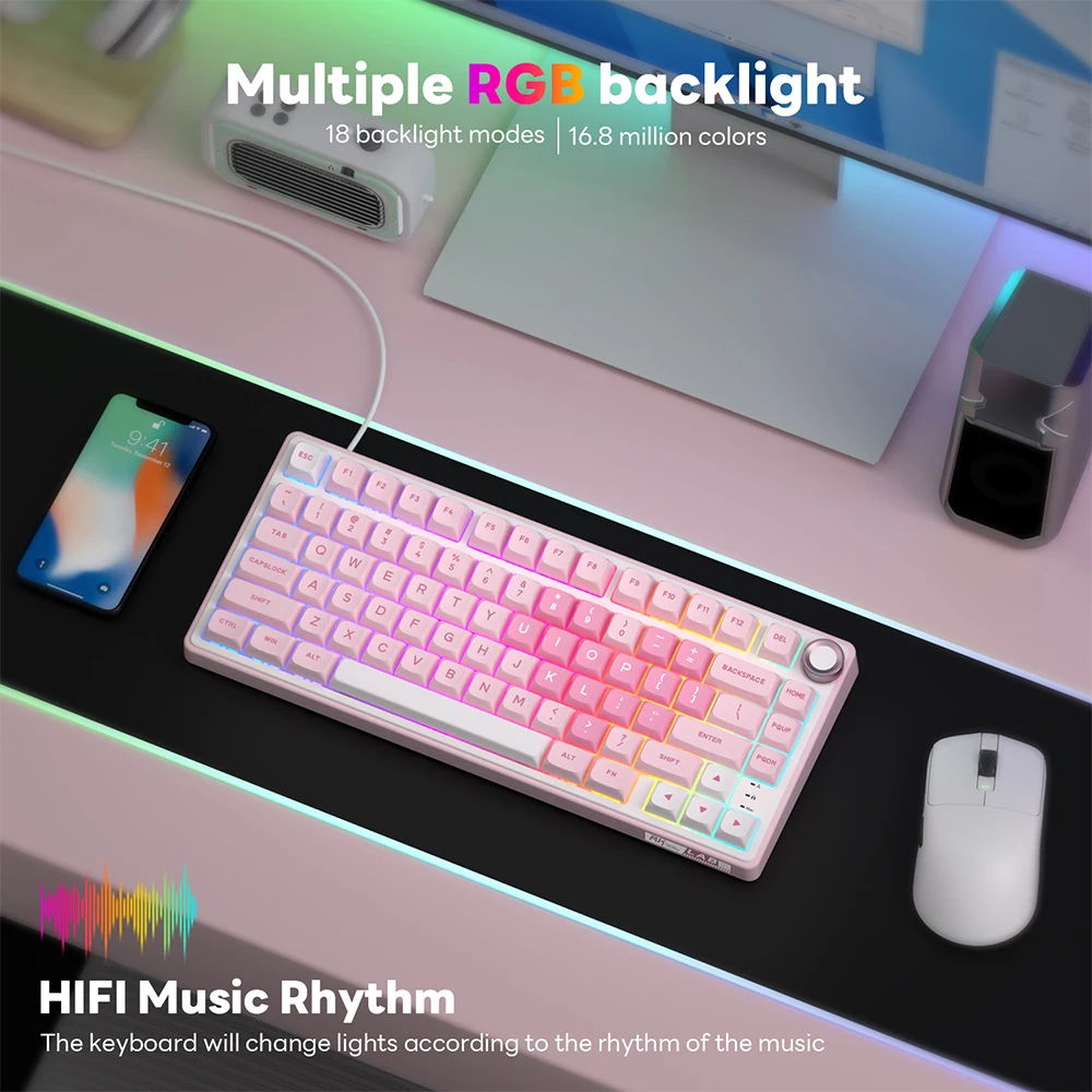 RK Royal Kludge R75 영어 기계식 키보드 81 키 핫 스왑 가능 가스켓 구조 PBT 키캡이 있는 RGB 유선 게임용 키보드