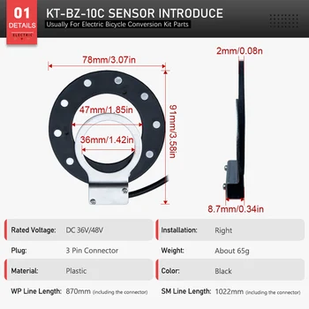 Sensore PAS Destro per E-Bike BZ-10C 10 Segnali Pedale 24V/36V/48V, Ricambi Kit Conversione Bici Elettrica, Sensore di Coppia, Componenti Fai-da-te per Bici