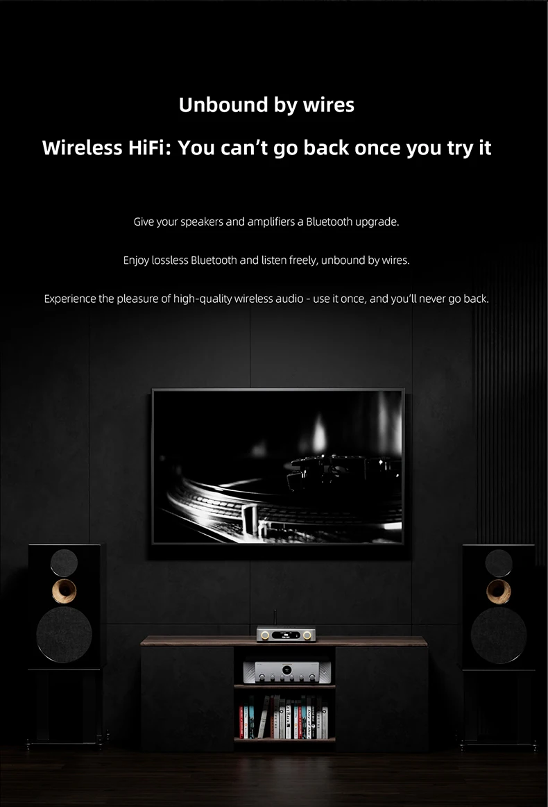 FiiO BR15 R2R Design