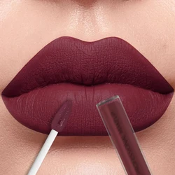 Matte Velvet Finish Liquid Lipstick Set - Waterproof, 12 Bold Shades (11)