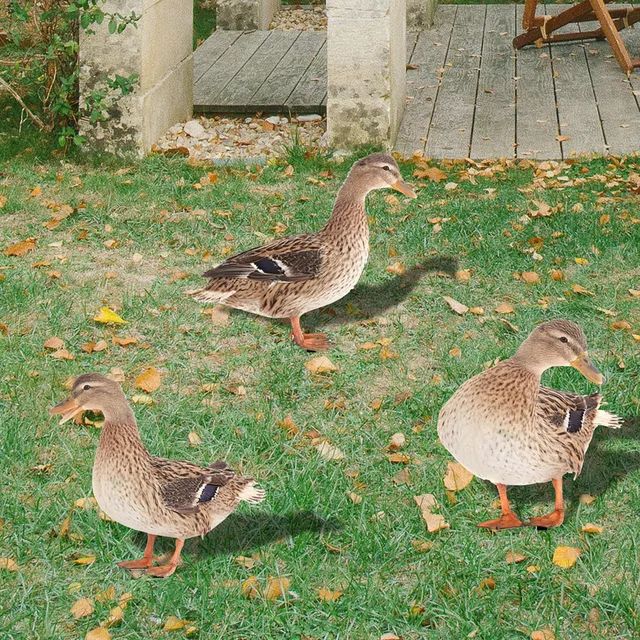 Akril Kacsa Baromfi Dekoráció Udvari Kert Kültéri Dekoratív Tét Szél Fonógépek Kártyával Beágyazott Betét A Gyepre - Image 3