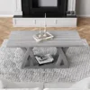 Coffee Table with Shelf, Wood Coffee Table for Living Room, Open Display Area,47” Grey 3
