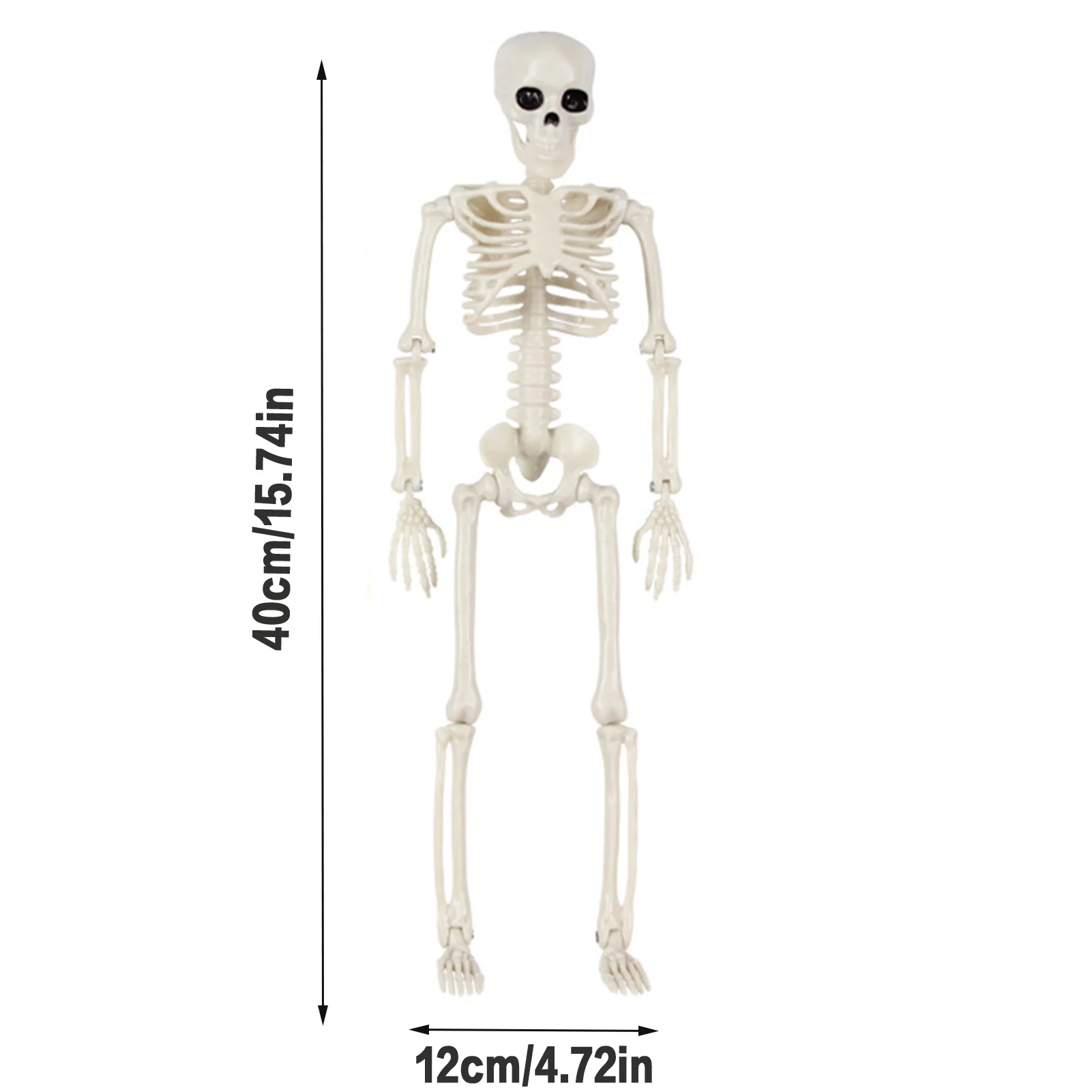 Halloween Life Size Skeleton Full Body 40cm Posable Decor with Movable Joints For Haunted Houses Cemeteries