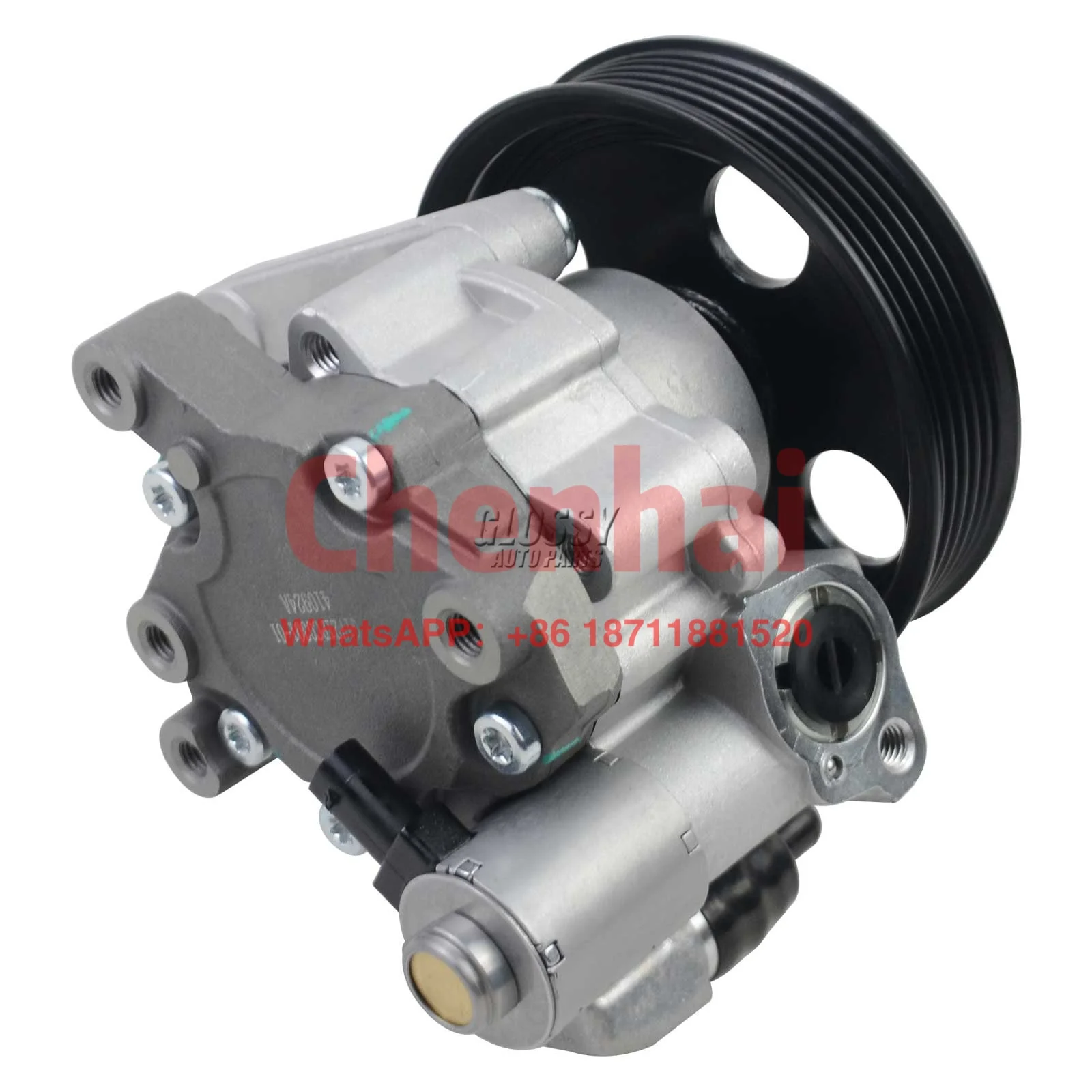 

Glossy Steering Pump A0064664401 A0064664501 A0054668101 A 006 466 44 01 A 006 466 45 01 A 005 466 81 01