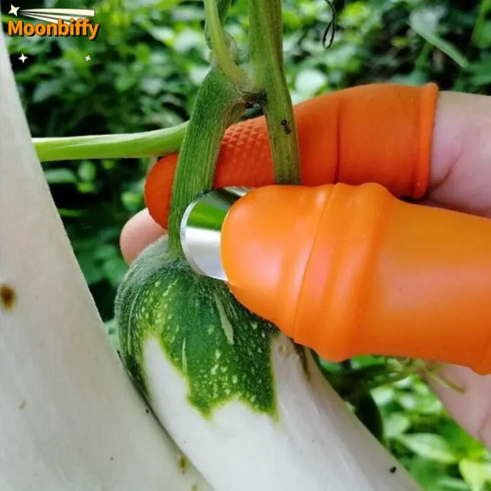Farm Vegetable Fruit Picker Pickle Pepper Pickle Tip Picker Iron Nail Pick Grape For Garden Orchard And Vegetable Patch