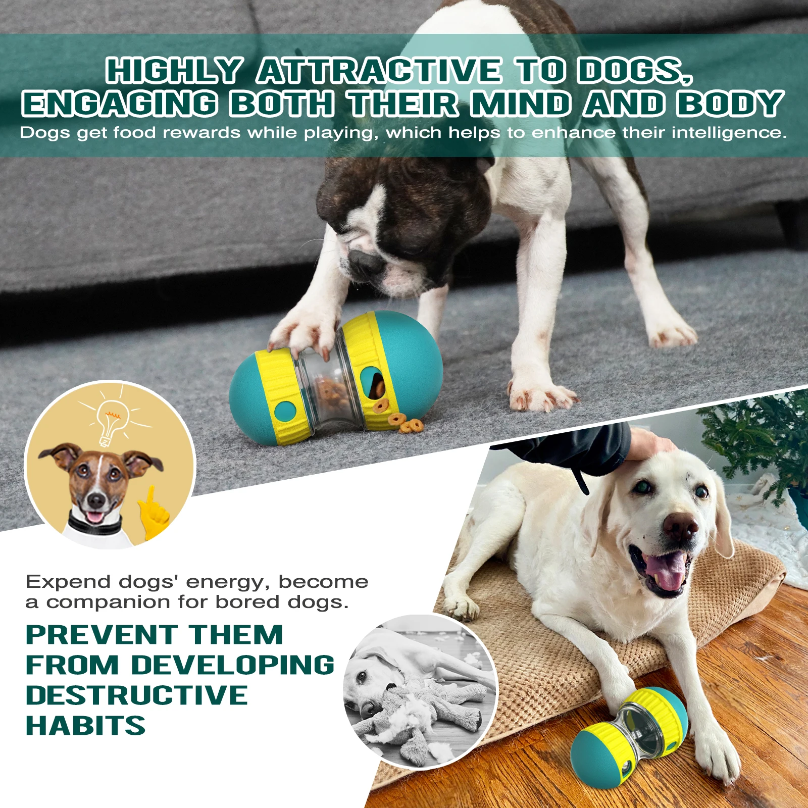 Interactive Dog Toys For Small Large Dogs Cats Improve IQ Indoor Training Puppy Toys Chihuahua French Bulldog Pug Pet Supplies 6