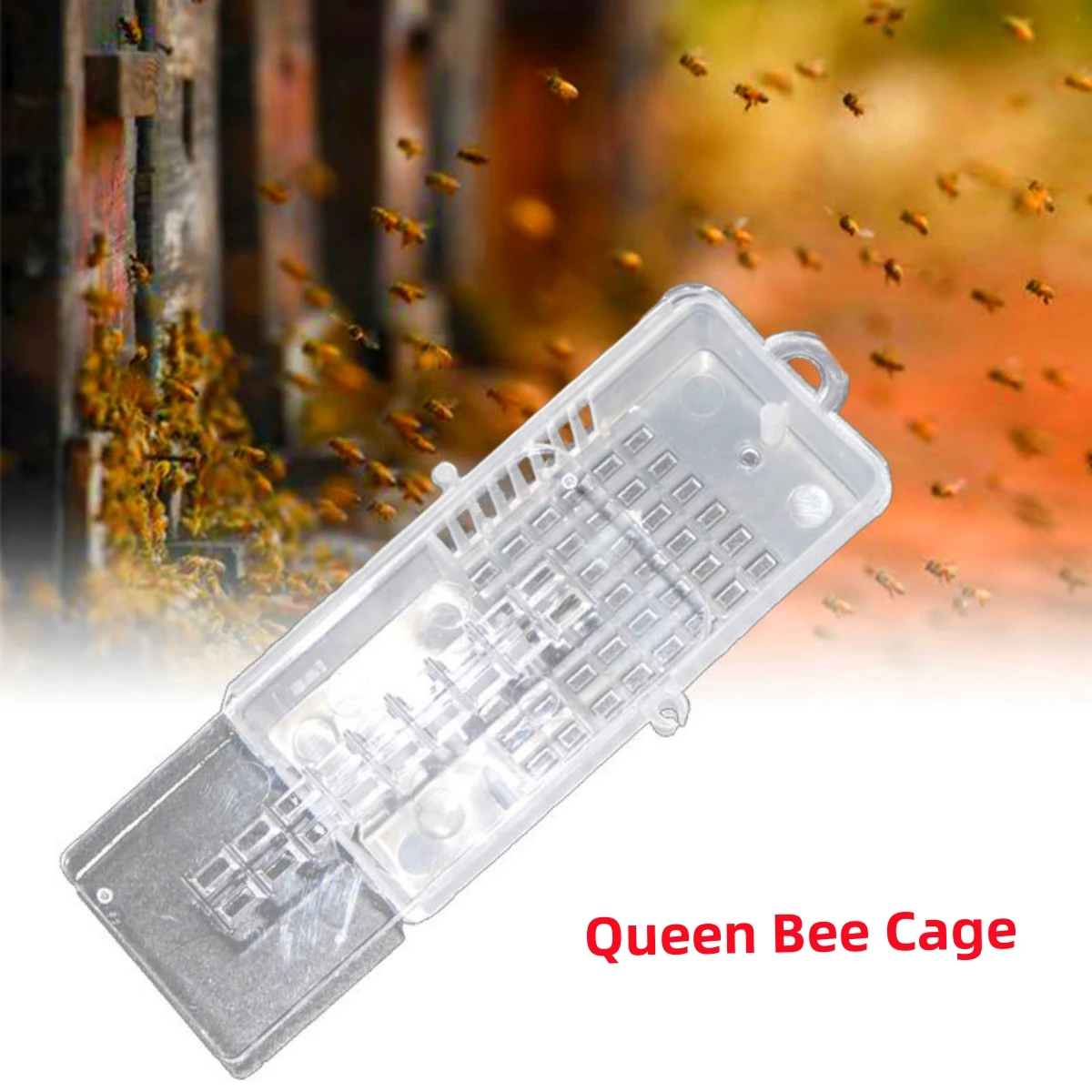 10Pcs Transparent Queen Bee Cage Plastic Large Size Multifunctional Box Queen Bee Escape Prevention Frame Beekeeping Supplies