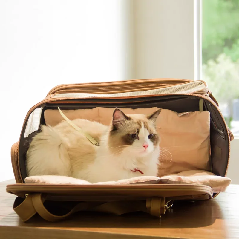 Pure Leather Japanese Original Cat Dog Protection Portable Small Dog Spring Outing Carrying Bag Bag Carrier Cat Backpack