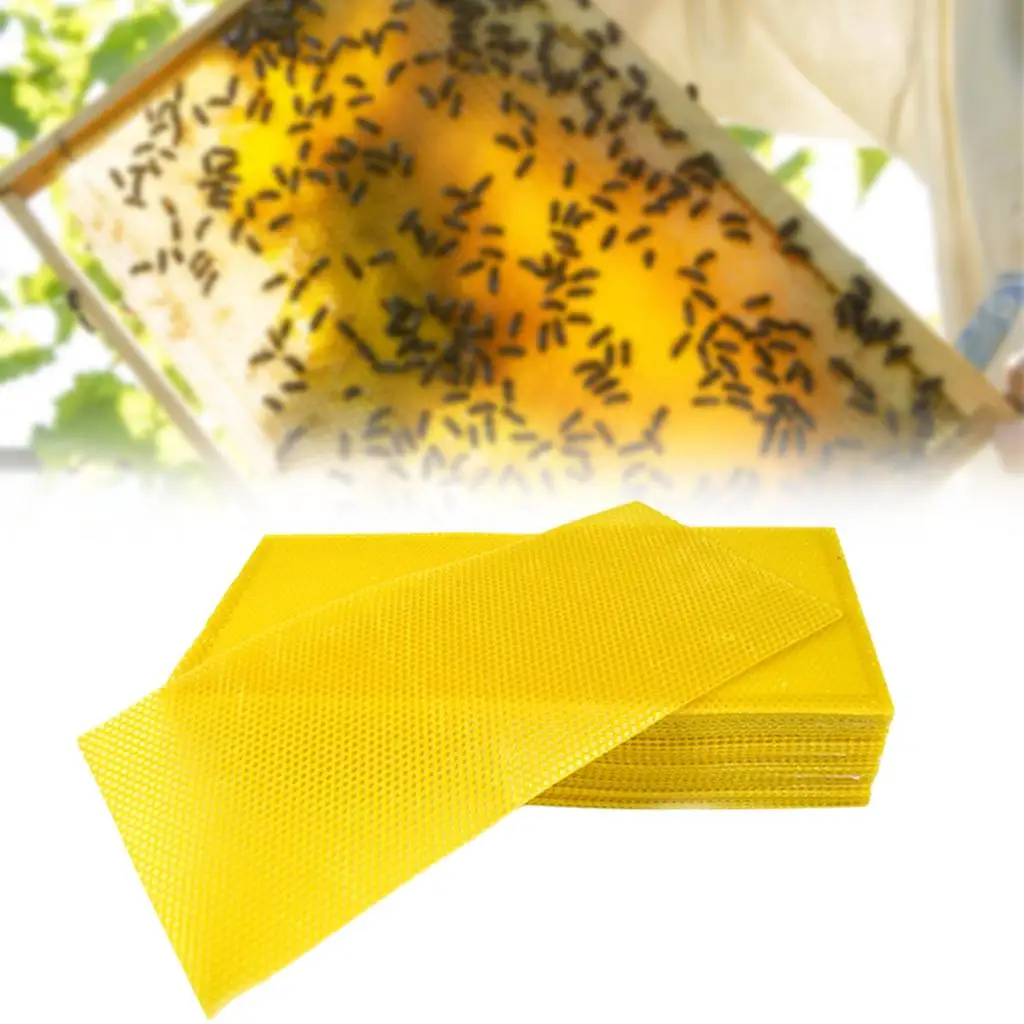 30Pcs Beeswax Sheets Beekeeping Foundation Sheets Bee Candle Making
