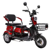 Three Wheel Mini Electric Scooter 3 Wheel Adult Electric Tricycle