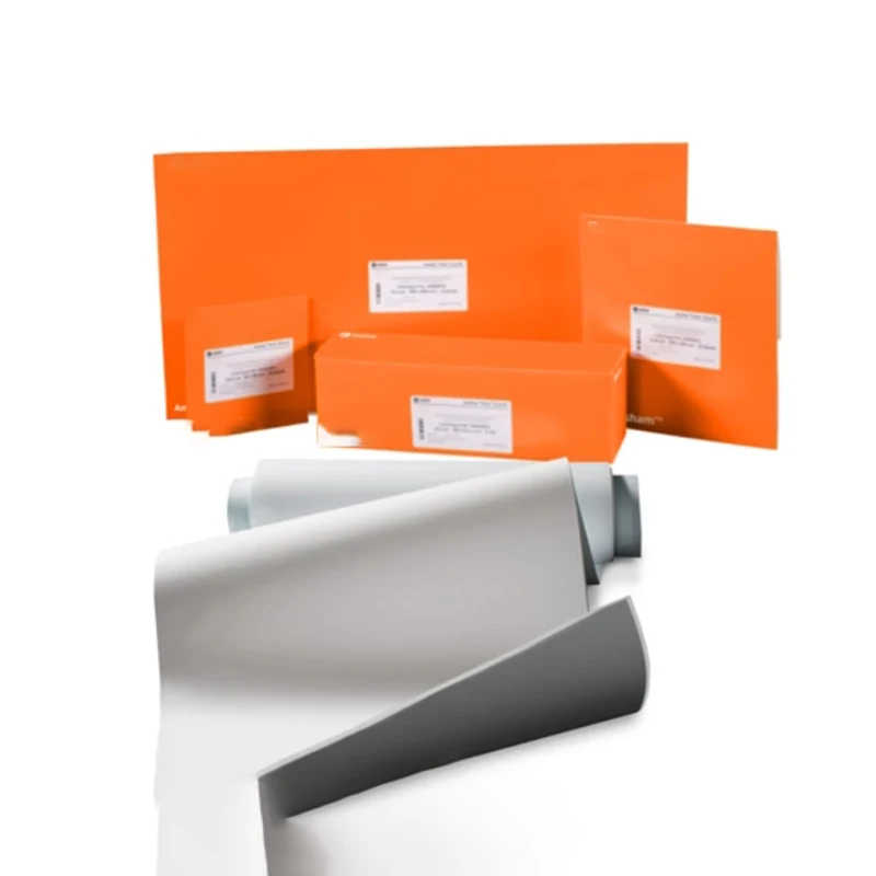 Nitrocellulose NC Membrane 0.22um P-N66485-30 &times; 300Cm/Roll 10600001 30cm x 4m 0.2um
