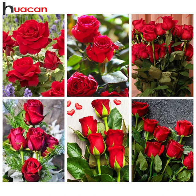 Huacan Diamond Painting Kits Rose Flower 5D Diy Embroidery Mosaic Vase  Floral Full Square Round Home Decoration - AliExpress