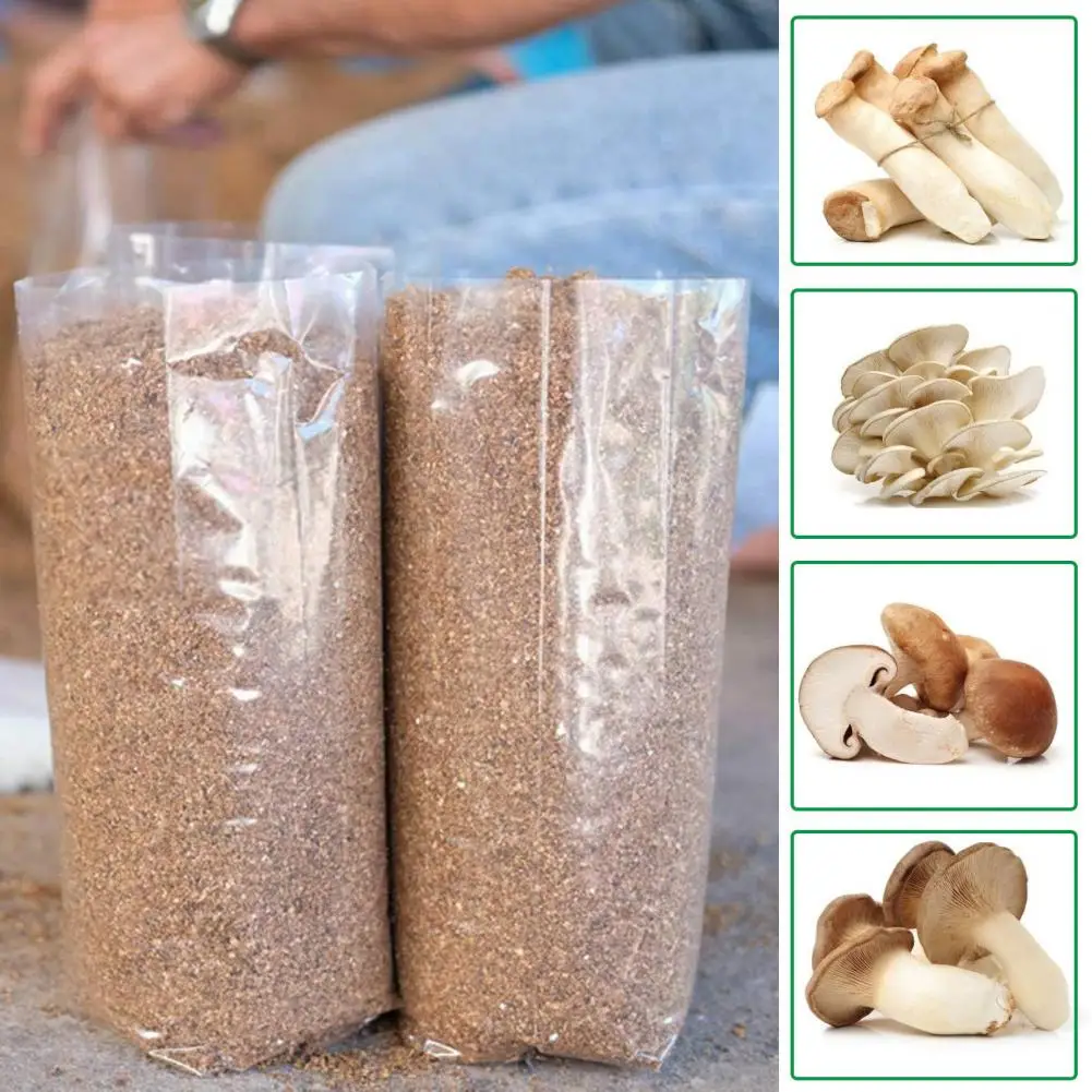 Grow Bag 10pcs Growth Bags Mushroom Spawn Grow Bags Media Grow