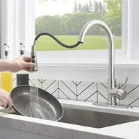Kitchen Faucet with Pull Down Shower, Brushed Nickel,Single Handle Stainless Steel Sink Faucet for Farmhouse Camper Laundry Room 6