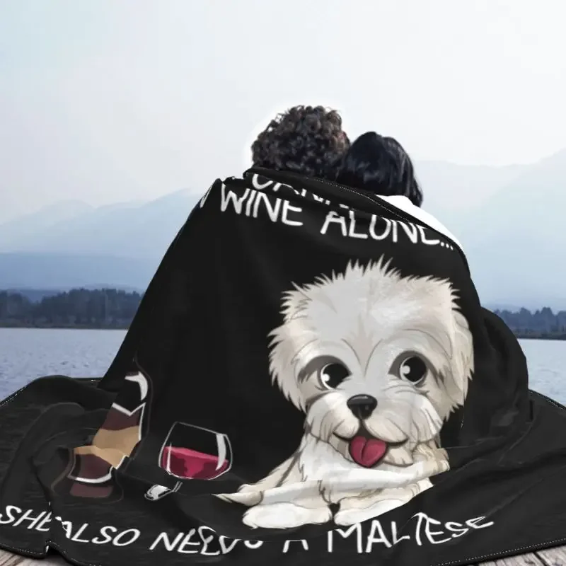 Maltese ���ΰ� ����ִ� ������ ���� ���� ������ ���, ������ �ö��� �ֿ� ���� ��ȣ�� ���, ħ�� ���� ���� ħ�뺸