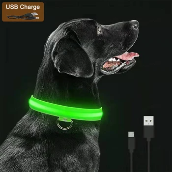 USB LED Dog Collar 1
