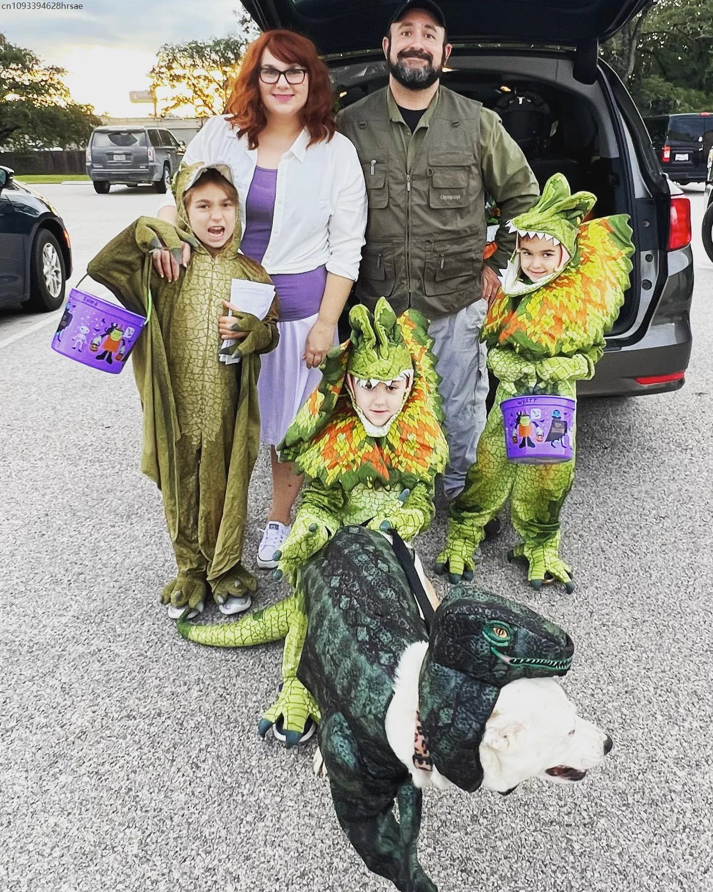 Boys Dinosaur Costume Set 6