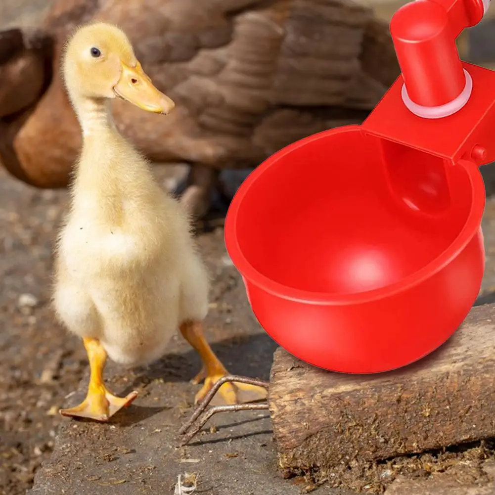 

Automatic Easy Install Chicken Waterer Plastic Practical Food-grade Chicken Feeder for Home
