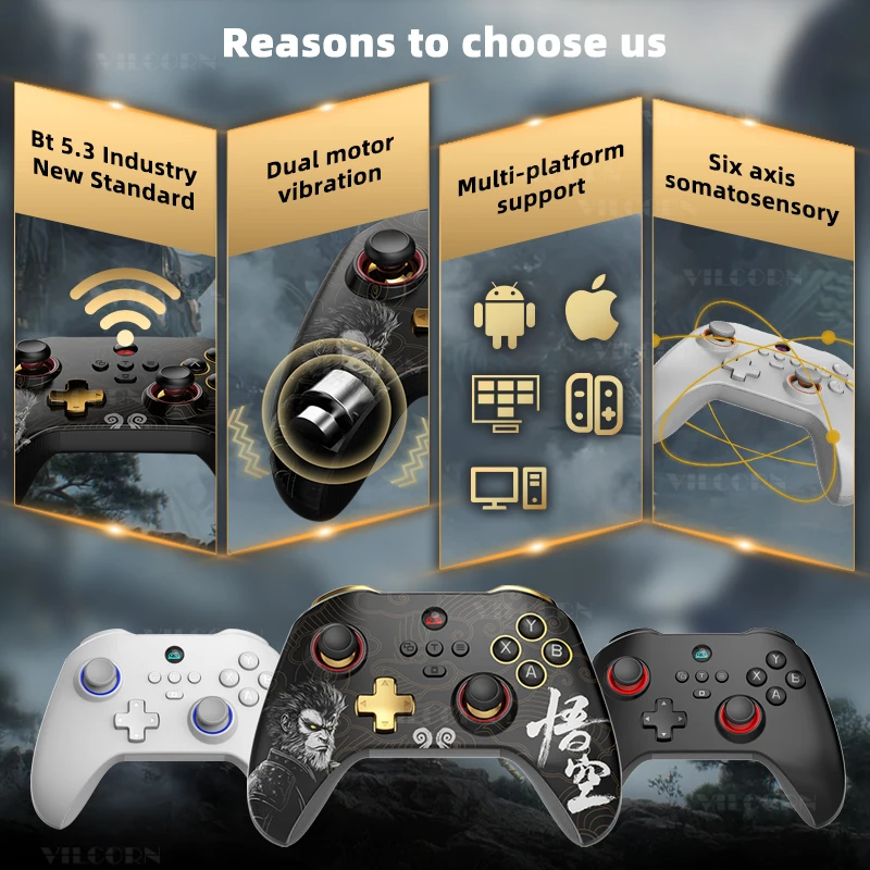 デュアルバイブレーションワイヤレスコントローラー,ホール