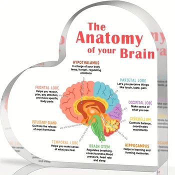 Mental Health Decor 1