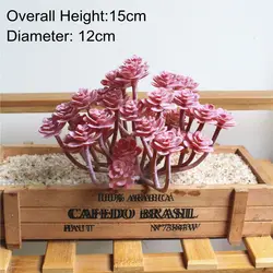 Mini Artificial Red Flocking Succulent Plant for Home and Office Decor (Da Xian Ren Ke)