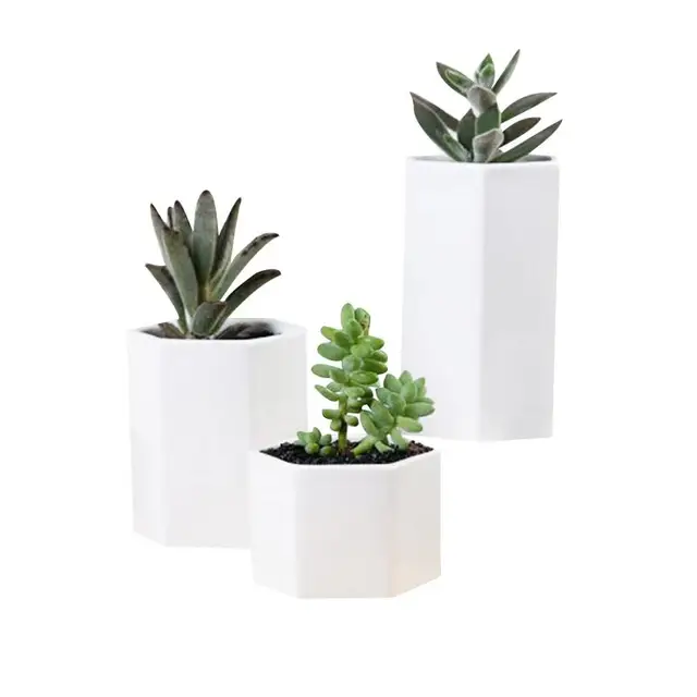 Fehér Kerámia Pot Hatszögletes Zamatos Ültetvény Tál Modern Geometriai Virág Edény, Vízelvezető Funkcióval Bambusz Tálcával