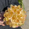 New Find Natural Yellow Phantom Quartz Crystal Cluster Mineral Specimen Healing 5