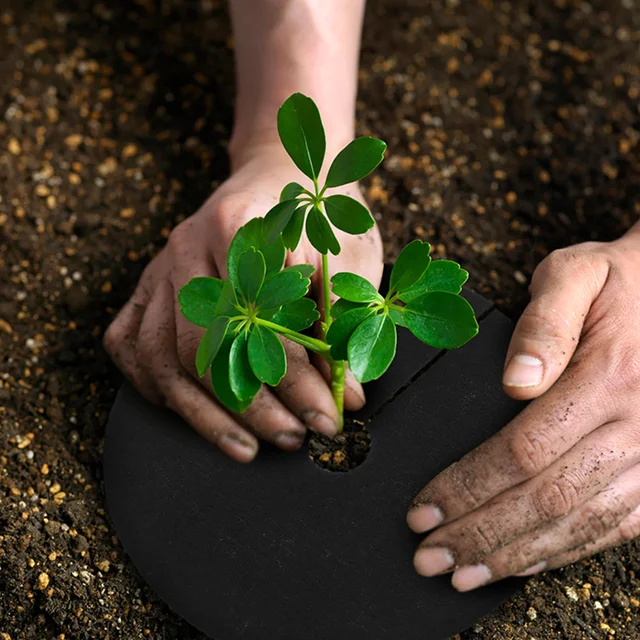Őrölt Ruhák Kertészet Vezérlő Gyűrű Fa Szövet Erős Gyomnövény - Image 3