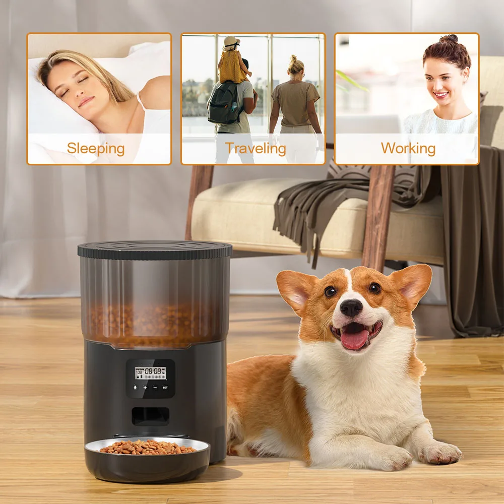 4L Button Smart Automatic Pet Feeder With Stainless Steel Bowl Timing