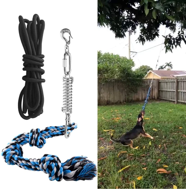 Spring Pole Dog Rope Toys, Tree Bungee Hanging Dog Toys, Indoor Outdoor Dog  Bungee Tug Interactive Exercise Toys, Pull & Tug Of War Dog Toy With Chewe