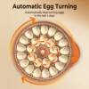26 Egg Incubator with Automatic Turning, Temperature and Humidity Control, LED Egg Candler, and Auto Water Addition, for Hatchin
