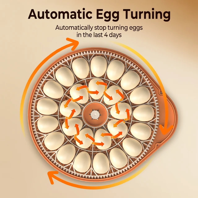 26 Egg Incubator with Automatic Turning, Temperature and Humidity Control, LED Egg Candler, and Auto Water Addition, for Hatchin