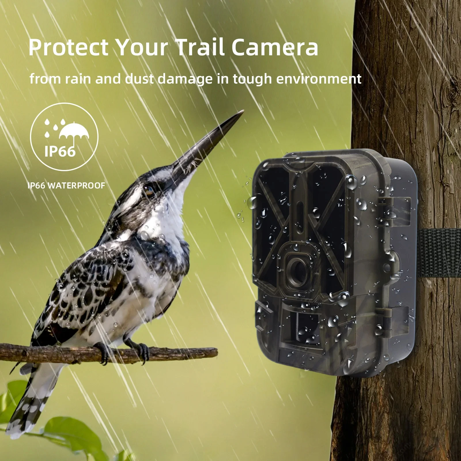 SuntekCam Wildlife Trail Cameras 50MP 4K IP65 Hunting Camera HC940A 10*AA Battery Night Vision Photo Traps Wireless Surveillance