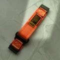 Orange 01
