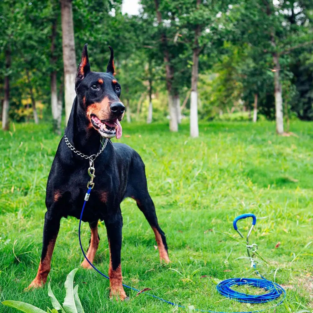 Dog Spike Durable Ergonomic Handle Thick Heavy Duty Spiral Ground Spike Backyard Play