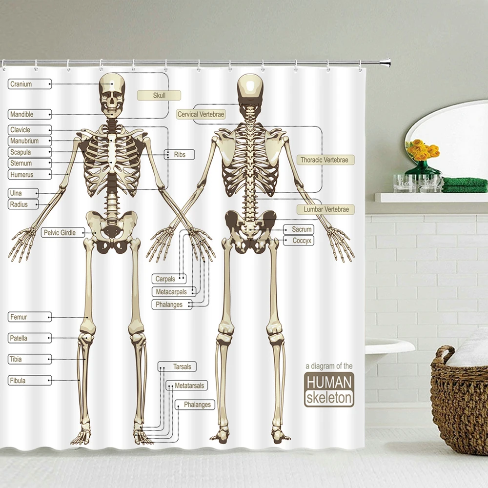 

Medicine Human Body Structure Chart Pattern Bath Shower Curtain Waterproof Decoration Shower Curtains With Hooks Bathroom Screen