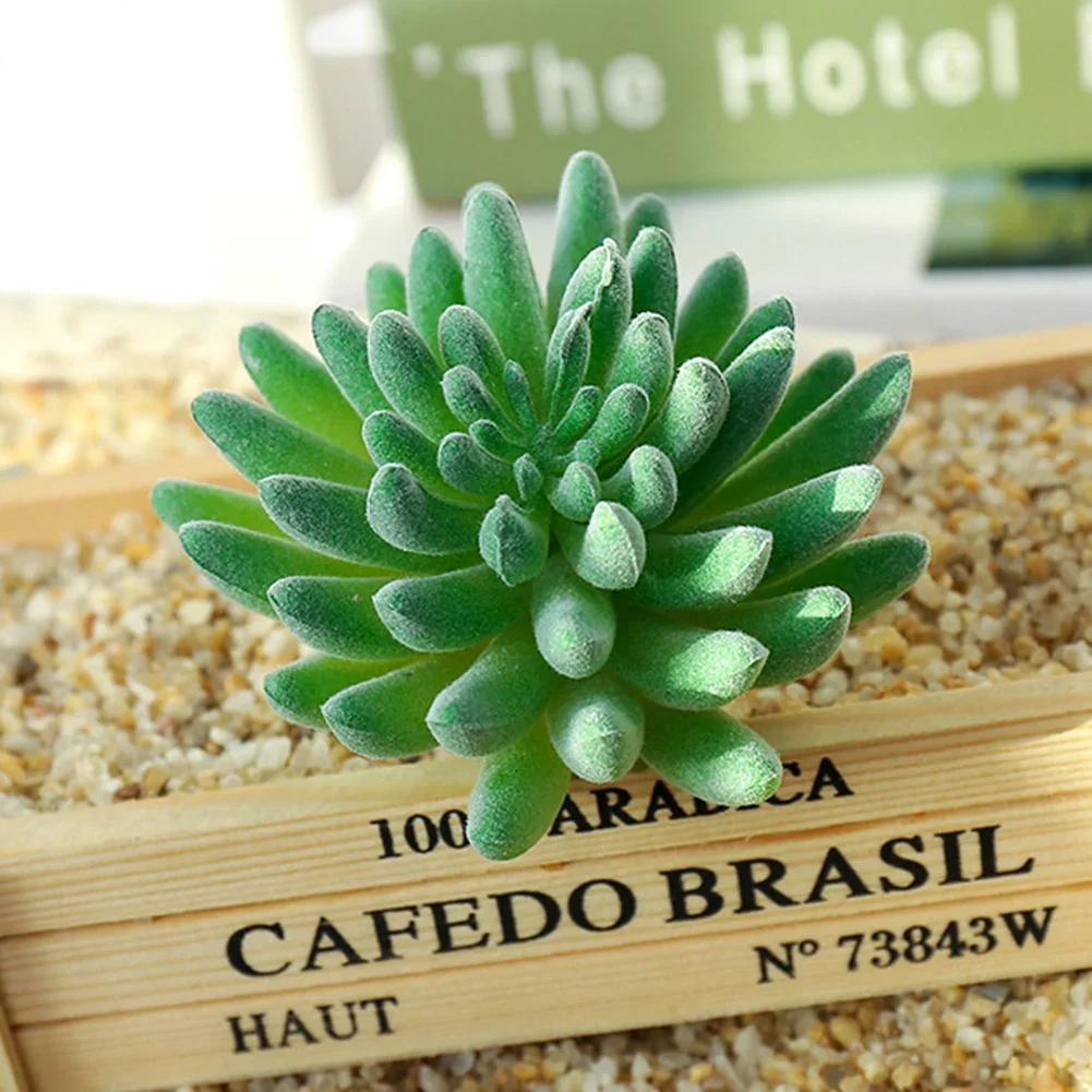 DIY künstliche saftige beflockte Pflanze gefälschte Kaktus Hausgärten Schlafzimmer Büro außerhalb Dekor gefälschte Pflanze Desktop kleine Bonsai neu – Detail 11