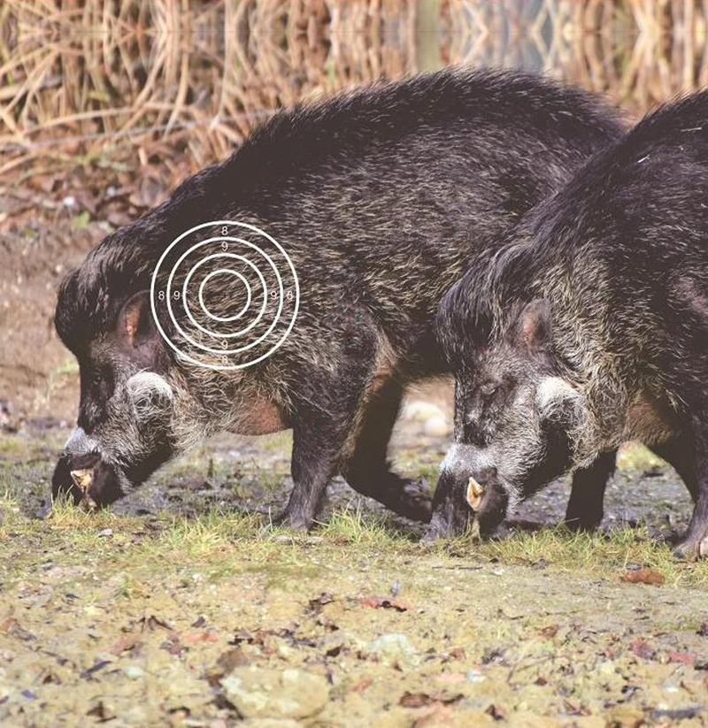 20-Pack Archery Target Papers With Wild Boar Pattern - 40x40cm Bow Shooting Practice Targets