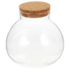 Round Glass Jar Cork Flower Plant Terrarium Micro-Landscape Ecological Bottle Crafts Container Landscape Bottle DIY Decorative 2