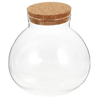 Round Glass Jar Cork Flower Plant Terrarium Micro-Landscape Ecological Bottle Crafts Container Landscape Bottle DIY Decorative 2