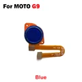G9 blue