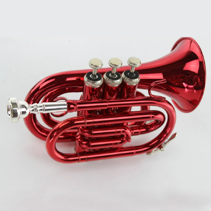 Learn Western Wind Instrument, B Flat Pocket, Red Palm Instrument