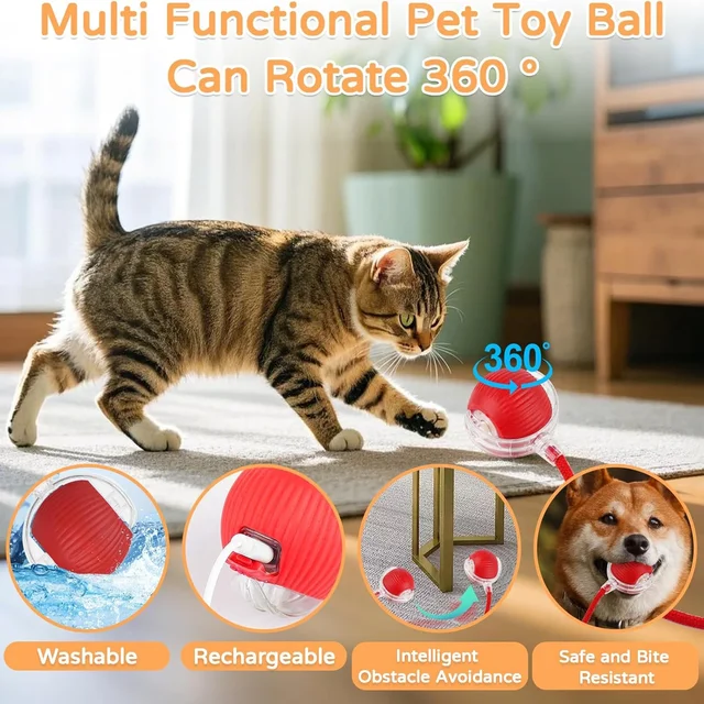 iLMH 1/2 PCS Jouet interactif pour chat, balle roulante automatique, fausse queue, rechargeable, jouet électrique intelligent pour animaux de compagnie, jouet pour animaux de compagnie imitant une souris 4 iLMH 1/2 PCS Jouet interactif pour chat, balle roulante automatique, fausse queue, rechargeable, jouet électrique intelligent pour animaux de compagnie, jouet pour animaux de compagnie imitant une souris 4